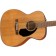 Fender Limited Edition CC-60S Concert Cedar Body Angle