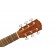 Fender Limited Edition CC-60S Concert Cedar Headstock