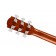 Fender Limited Edition CC-60S Concert Cedar Headstock Back