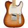 Fender Limited Edition Player Telecaster Plus Top Sienna Sunburst Body