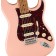 Fender Limited Edition Player Stratocaster HSS Roasted Neck Shell Pink Body Detail