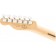 Fender Limited Edition Player Telecaster HH Silverburst Headstock Back