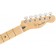 Fender Limited Edition Player Telecaster Lake Placid Blue Headstock