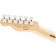 Fender Limited Edition Player Telecaster Lake Placid Blue Headstock Back