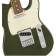 Fender Limited Edition Player Telecaster Pau Ferro Fingerboard Olive Body Detail