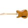 Fender Limited Edition USA Cabronita Telecaster Aztec Gold Back