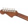 Fender Malibu Player Natural Headstock Back