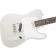 Fender MIJ 2019 Limited Collection Telecaster Inca Silver Rosewood Body Angle