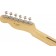 Fender MIJ Limited Collection Telecaster Vintage Natural Headstock Back