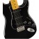 Fender MIJ Limited Edition Traditional Series Hardtail Stratocaster Black Body Detail