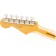 Fender MIJ Limited Edition Traditional Series Hardtail Stratocaster Black Headstock Back