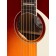 Fender Palomino Vintage Sienna Sunburst Controls