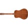 Fender Paramount PD-220E Dreadnought Natural Back