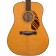 Fender Paramount PD-220E Dreadnought Natural Body