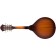 Fender Paramount PM-180E Mandolin Aged Cognac Burst Back