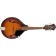 Fender Paramount PM-180E Mandolin Aged Cognac Burst Front Angle