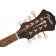 Fender Paramount PM-180E Mandolin Aged Cognac Burst Headstock