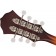 Fender Paramount PM-180E Mandolin Aged Cognac Burst Headstock Back