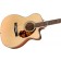 Fender Paramount PM-3 Limited Adirondack Triple-0 Mahogany Body