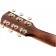 Fender Paramount PM-3 Limited Adirondack Triple-0 Mahogany Headstock Back