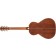 Fender Paramount PR-180E Resonator Aged Cognac Burst Back