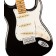 Fender Player II Stratocaster Black