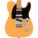 Fender Player Plus Nashville Telecaster Butterscotch Blonde Body