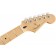 Fender Player Stratocaster Buttercream Maple Headstock