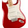 Fender Player Stratocaster Candy Apple Red Maple Body Detail