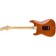 Fender Player Stratocaster Pau Ferro Fingerboard Aged Natural Back