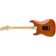 Fender Player Stratocaster Pau Ferro Fingerboard Aged Natural Back