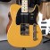 fender_player_telecaster_butterscotch_blonde_maple_front B Stock Body