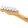 Fender Player Telecaster Butterscotch Blonde Maple Headstock Back