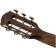 Fender PM-2E Parlor Limited Aged Cognac Burst Headstock Back