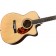 Fender PM-3 Limited Adirondack Triple-0 Rosewood