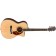 Fender PM-3 Limited Adirondack Triple-0 Rosewood