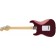 Fender Standard Stratocaster Candy Cola