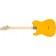 Fender Standard Telecaster Butterscotch Blonde