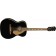 Fender Tim Armstrong Hellcat Anniversary Electro-Acoustic Front Angle