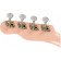 Fender Venice Soprano Ukulele Shell Pink Headstock Back