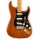 Fender Vintera 70s Stratocaster Mocha Body