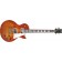 FGN Neo Classic LS30 Vintage Violin Front
