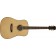 Freshman-FALTDSPRD-20th-Anniversary-Electro-Acoustic-All-Solid-Dreadnought-Front