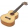 Freshman Tenor Ukulele Spruce Mango Angle