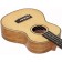 Freshman Tenor Ukulele Spruce Mango Body Angle