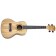 Freshman UKASHC Ash Concert Ukulele Front 2