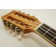 Freshman-UKASHTE8-Ash-Tenor-Electro-8-String-headstock