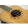 Freshman-UKASHTE8-Ash-Tenor-Electro-8-String-soundhole