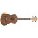 Freshman UKBOCC Bocote Concert Ukulele Front