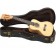 Freshman-UKLMAPLEC-Lono-Series-Concert-Ukulele-Englemann-SpruceFlame-Maple-In-Case